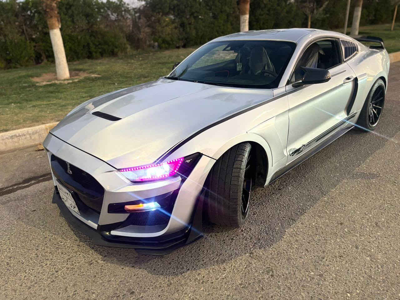 سلام عليكم موستنك 2016  v6
نضيفه حيل السياره مكانها كركوك 

السياره من القويات العدنه اب كركوك عليها اكزوزت بوابات تسد وتفتح بالريمونت وعليها برمجة طلقات وهواي شغلات السيارة ناصبه ونضيف  العاجبه يخابرني 
تواصل *********** Singapore
