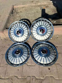 كبات ابو لاسد للبيع نضافتهن كدام عينك مكاني لبياع 07765609113