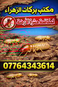 مكافحة حشرة الارضه • مبيدات اوربية • كربلاء