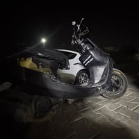 بطة • سلف • ١٧٥