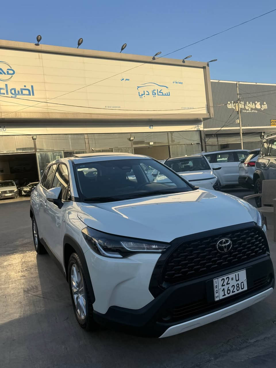 *********** واتساب
كرولا كروس سيني HEVدعامى لو دعامى به شه رت هيچي نيه 
٢٠ هه زار رويشتيه  ٢٠٥ وه ره قه أربيل, العراق
