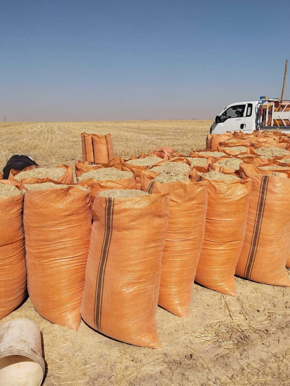 السلام عليكم يوجد تبن للبيع شلفان السعر ٣٠٠٠ الشليف واصل البيت ومال الحنطه مال السنه شرط نضيف القياس الشليف عرض ٧٠ ارتفاع ١١٠) ويوجد شلفان ابو ٨٠ عرض وارتفاع ١٢٠ السعر ٤ الشليف واصل البيت ومال الحنطه والاستفسار (***********)
