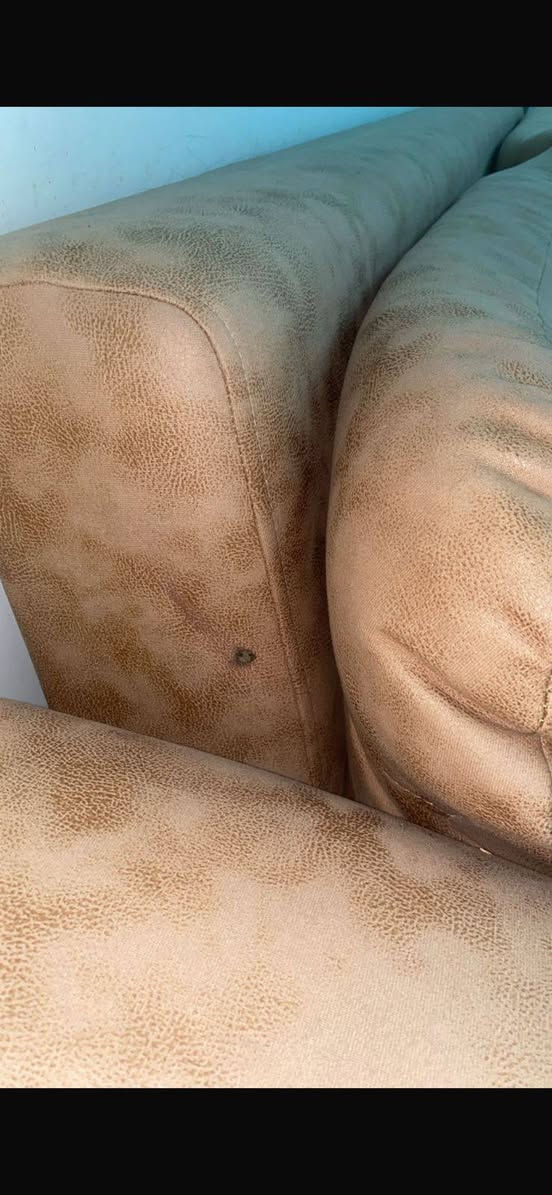 تخم تركي 10مقاعد يصير سرير  الضرر بي حرك  بسيط السعر 400بي مجال بسيط


**إذا كنت صاحب هذا الإعلان وتريد حذفه لأي سبب، رجاءا أرسل رسالة إلى الدعم الفني**