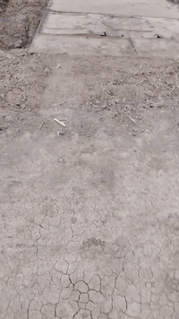 شاصي للبيع الطول 7متر العرض 2 متر ونص   لتواصل 07807552787