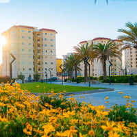 عروض ايجار عقد سنوي شقه ايجار مجمع اتلانتك ستي غرفتين وصاله بيها كاونت...