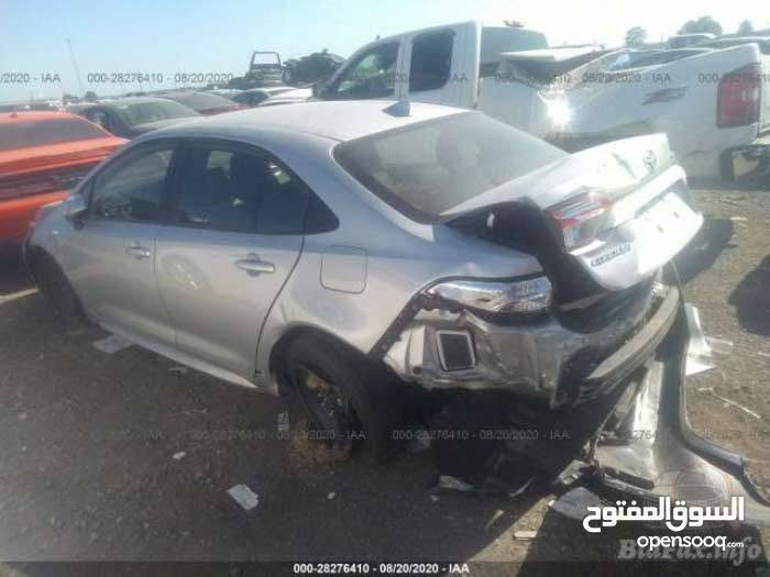 كورلا 2020 le امريكي  محرك 1800 مرغوب حادث جنطه ايرباك كله سليم مابيه اي نقص فقط ربع دعاميه اخر صوره يرادله صبغ جماليه وبقيه  سونار خاص  (سياره مدوشمه وارضيه جلد كامل ستيرن جلد كامله) *********** رقم اربيل
كورلا 2020 le امريكي  محرك 1800 مرغوب حادث جنطه ايرباك كله سليم مابيه اي نقص فقط ربع دعاميه اخر صوره يرادله صبغ جماليه وبقيه  سونار خاص  (سياره مدوشمه وارضيه جلد كامل ستيرن جلد كامله) *********** رقم اربيل
بغداد شعله 
130
