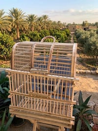 قفاصه الجريد • الغندورة • متوفر