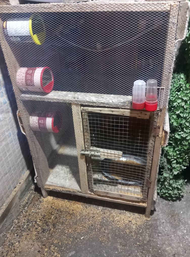 متاح وجبه مال اقفاص مستعمله استعمال قليل  قيم واخذ  المكان كربلاء   حي العامل  هاتف :***********6
