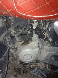 بوكسر • سلف تعبان • شعب مديل 22