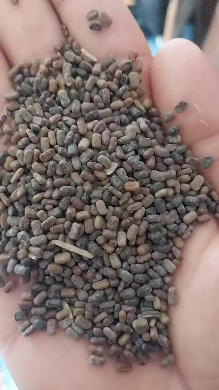 سيسبان البيع  كم ٢٥٠٠


**إذا كنت صاحب هذا الإعلان وتريد حذفه لأي سبب، رجاءا أرسل رسالة إلى الدعم الفني**