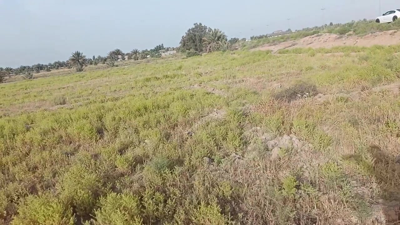 دونم ونص للبيع على التبليط كافة الخدمات البيع حسب الطلب تريدها كلها اونصها او نص دونم السعر الكلي للارض 80مع المجال طابو زراعي سند 25 عنوان الارض كربلاء طويريج قرب بنات الامام الحسن ع للتواصل ***********///
