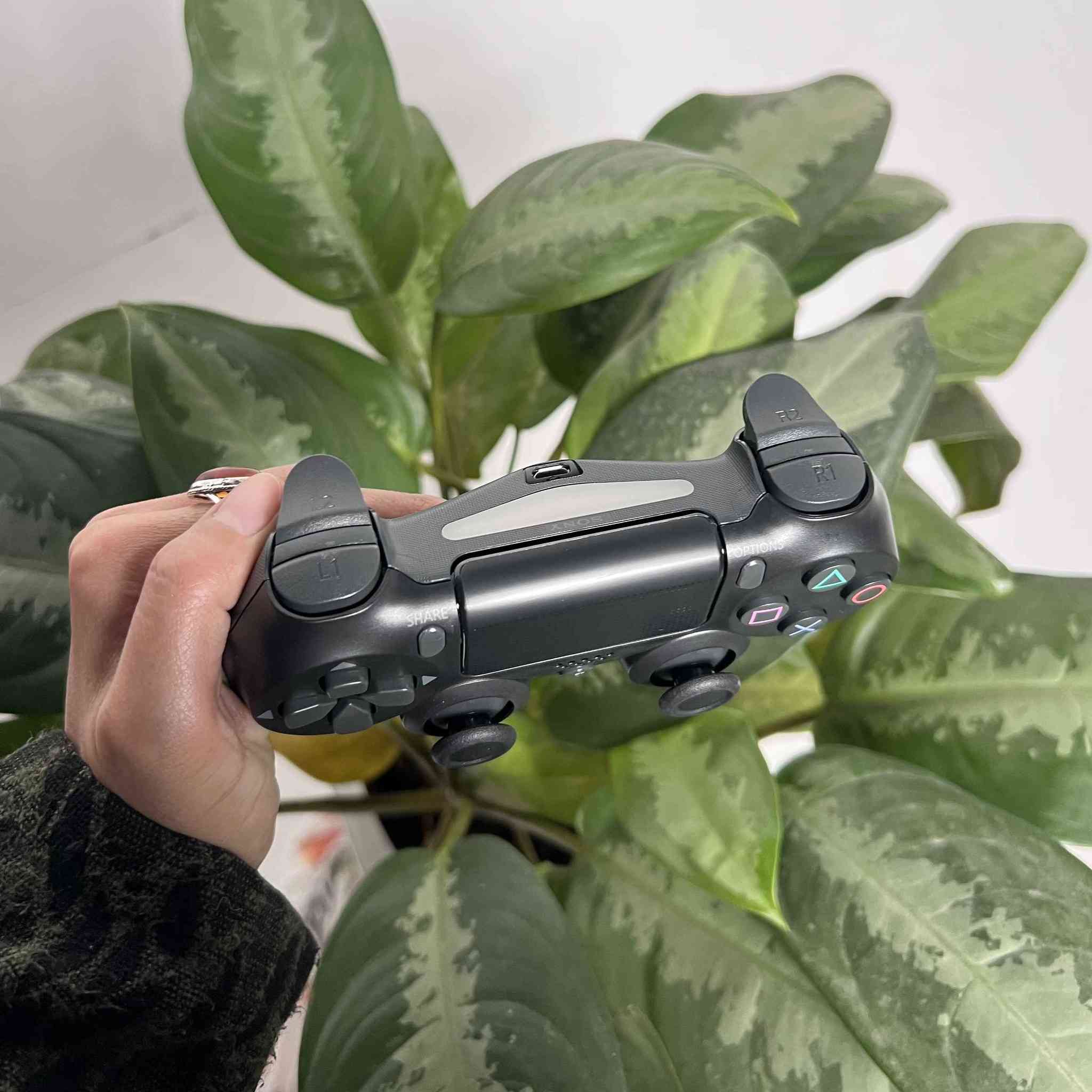 جوستك بلي فور سعر قطعة ب١٥ الف وتوصيل موجود لكل محافظات العراق بغداد, العراق


**إذا كنت صاحب هذا الإعلان وتريد حذفه لأي سبب، رجاءا أرسل رسالة إلى الدعم الفني**