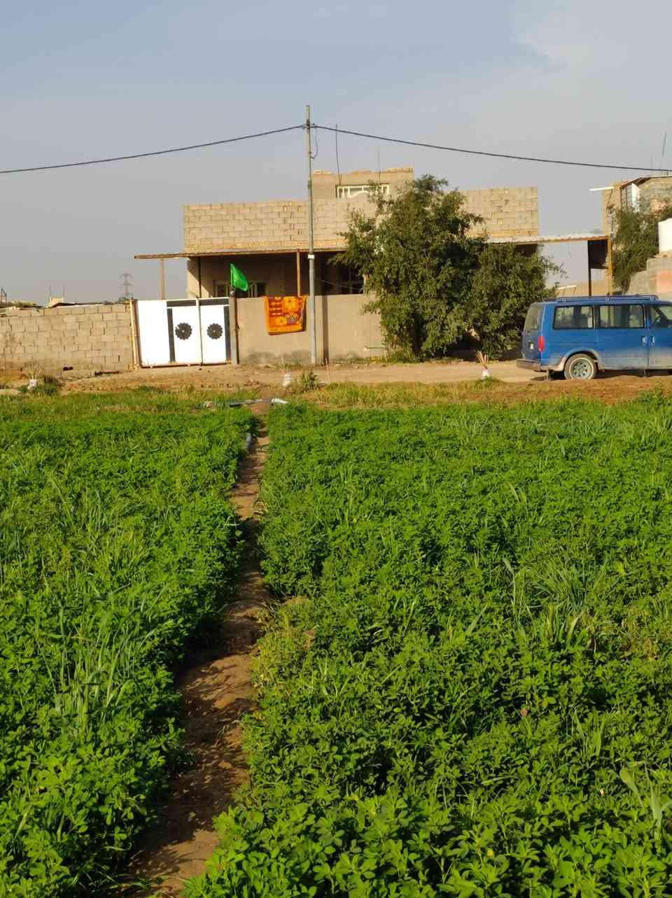 السلام عليكم دار البيع كامل مكمل من كلشي  المساحة دونم ونص وبستان وبيت سكن كامل من كهربائية بل باب وماء اساله مكون من استقبال وصاله وغرفتين وحمامات داخليه وخارجه 
المكان رفاعي قريب على ناظم رقم 4 
بناء فرمستون سعودي والسكف كوكريت صب مساح 
الرقم 
***********
*********** 

السعر 150مليون  وبيه مجال
