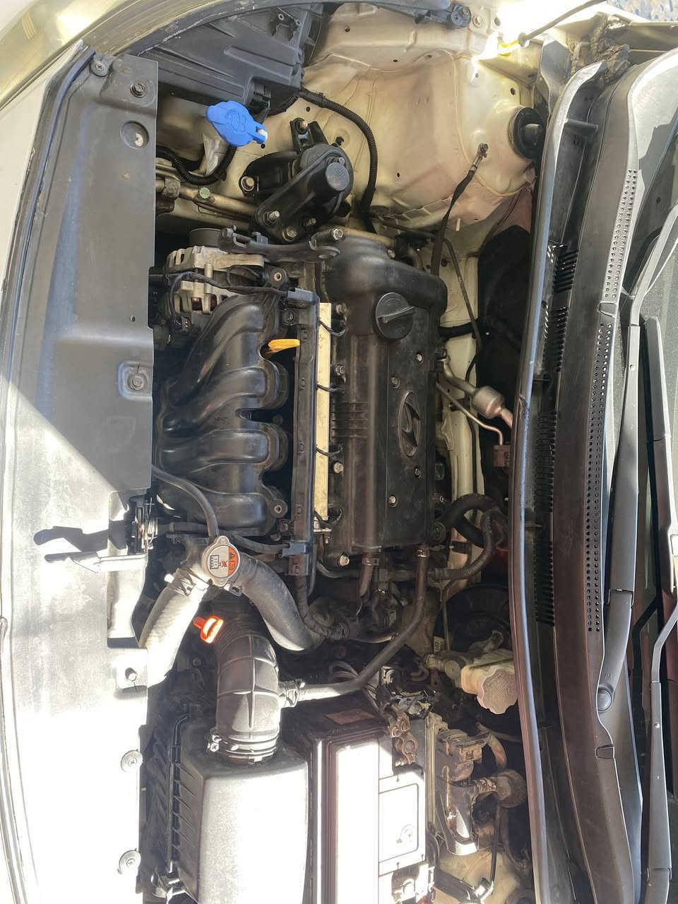 السلام عليكم 
هونداي اكسنت 2012  وارد خليجي رقم بغداد باسمي سياره فول مواصفات عده لبصمه مكينه 1600دوش نضام ايكو سياره بيها ضربه بل جاملغ الوره يمك صوره موضحه ولدوسه نفسها سونارها مرفق ولدوسه هم مصبوغه سياره خير من الله مكاني فلوجه السعر 95 وبيها مجال رقم الهاتف *********** و***********
