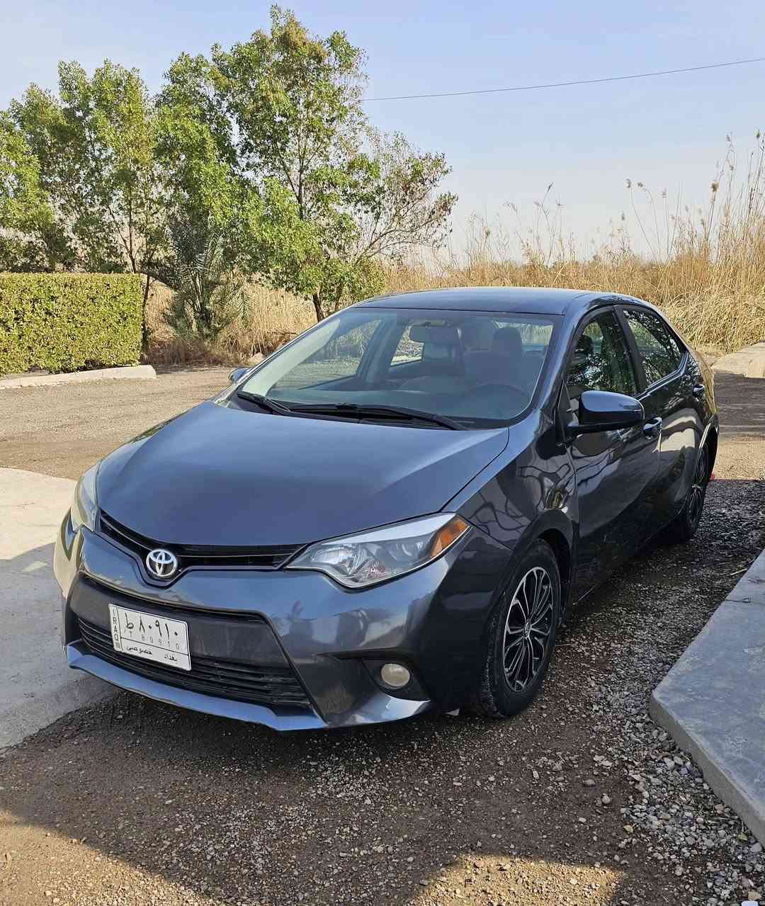 للبيع كورلا 2016 وارد امريكي رقم بغداد تحويل مباشر ضرر خلفي اشويه بل حوض و حالياً مصبوغه عام اثر جراد و شخوط بدون دواخل شواصي لغود كفاله مكينه كير كهربائيات حداديه تدفئة تبريد كله جاهز // مكان بغداد الامين// السعر(93$) و بيهه مجال للأستفسار (***********)
