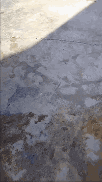 السلام عليكم اخوان هذا دراجه للبيع موديل 18 بدون اي عيب سعر 350 بمجال قليل الشراي خابر ***********
