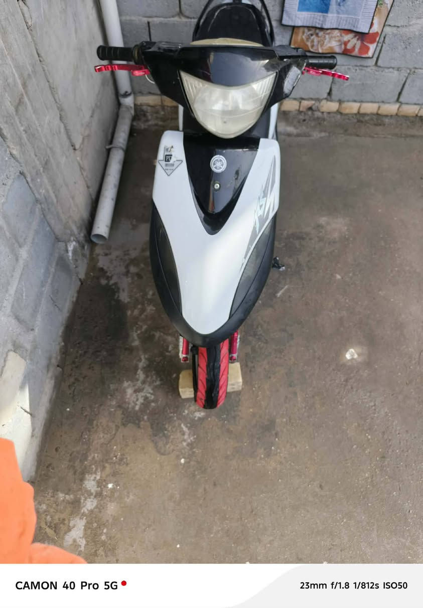 سلام عليكم ماكس عدلة لبيع بوشة 55شلعة معدل تاكل كاع كهربائيات شغالة كلها بيها تزويد ويالة رياضية دبلات رياضية يدات بريك قبق فلاوين  دراجة مناقصة شي
بس يرادلهة عرموطة مال هندر يرادلهة تبديل 
#السعر ب٤٢٥بيها مجال او ترهم مراوس شعندك نزل للستفسار، ‏‪***********‬‏ اني مكلف بلنشر مكلف بلنشر الخاص 🔓
