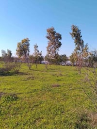 مزرعه زراعي • ٢ دونم • كركوك طريق ليلان