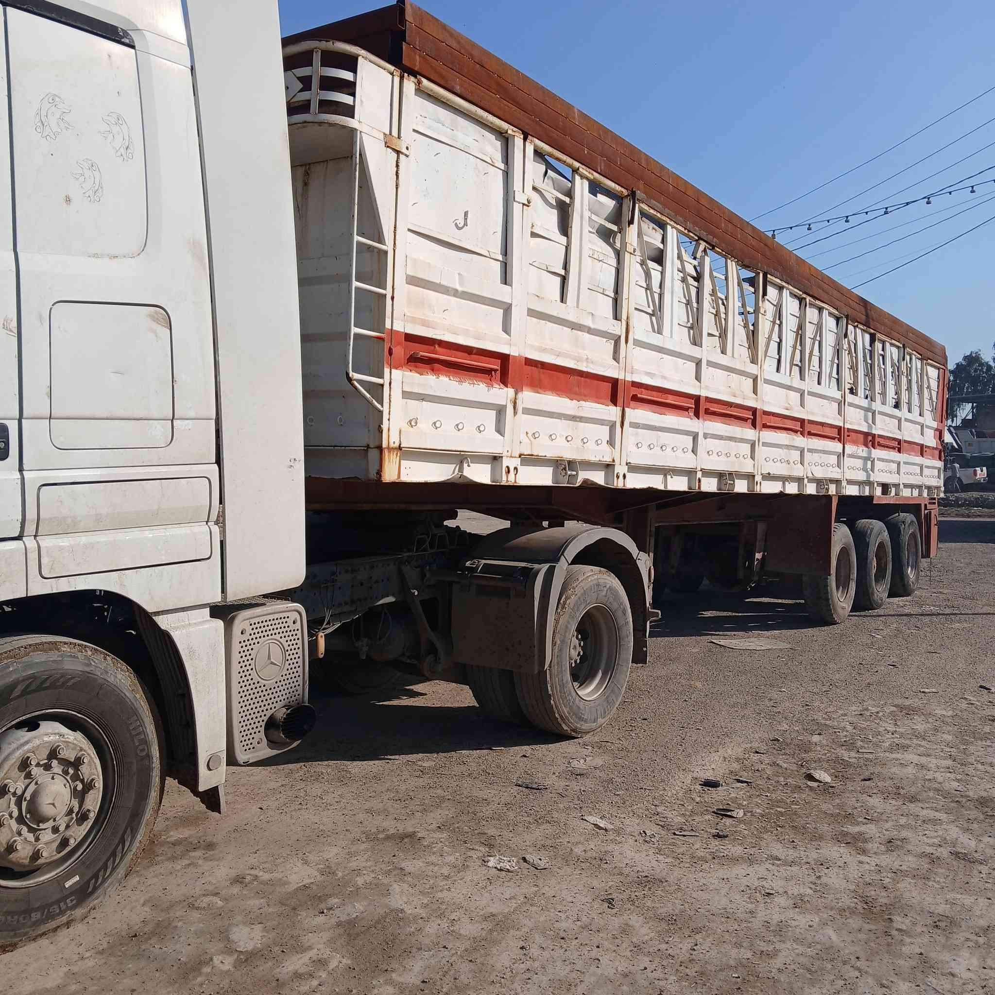 البيع عربانه مزوج شاصي لماني صل عرقم *********** عنوان بغداد معامل السياحي
