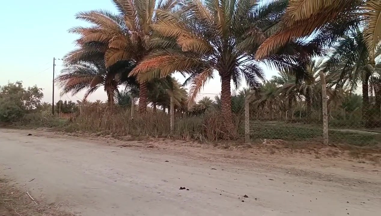 ***********
للبيع
