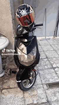 ✨🖤.                                                          سكنس فحل ...