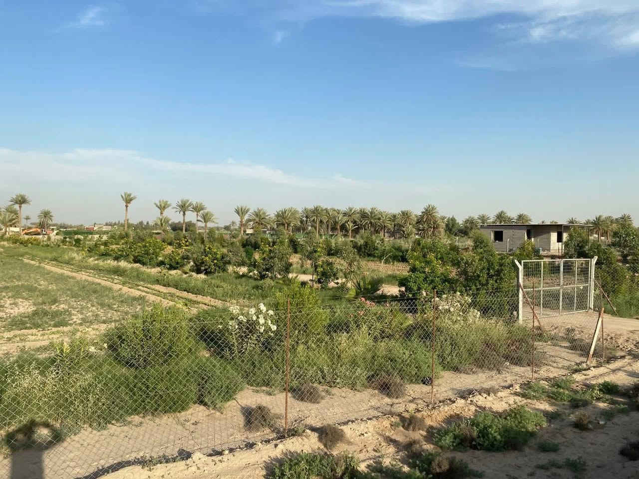 دونم طابو باسمنا في اطراف بغداد

الإتصال مباشر على صاحب السند ***********

جنس العقار/  دونم طابو زراعي سند ٢٥  باسمنا تحويل بطابو التسجيل العقاري في بغداد المحمودية

 الموقع/ بغداد اتجاه السريع الدولي القديم للجسر الرابع  بداية  دخول المنطقة شيشبار

* يبعد ٨٠٠م عن السريع العام الدولي 

* يبعد ٢٠٠م   عن مدرسة البشائر والمحلات 

* يبعد ٢٥٠ م  عن التجاري الرابط بين الدولي ومطار الصويره 

* يبعد  ربع ساعة عن جسر الطابقين والدورة   

الابعاد/ شارع ونهر من الامام *وشارع ونهر من الخلف 
 ومحدد ابعاده بواسطه مساح قانوني ملحق بكهرباء وسقي . مسيج مع باب دخول للدونم جاهز  لمزرعه او مشروع صناعي او تجاري لكونه قريب من الدولي 

الخدمات/ خط كهرباء *حصة مائية *مدارس *محلات *تبليط
