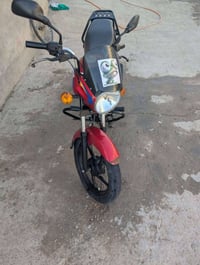 بوکسر • موديل 2021 • الرقم والسنوية باسمي