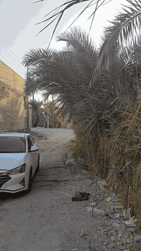 ياالله سلام عليكم هياكل البيع واحد بصف الثاني المساحه 150 بزديناويه مقابيل المركز الشرطه على طريق سيد سلمان ثالث بيوت عن التبليط الستفسار ***********
