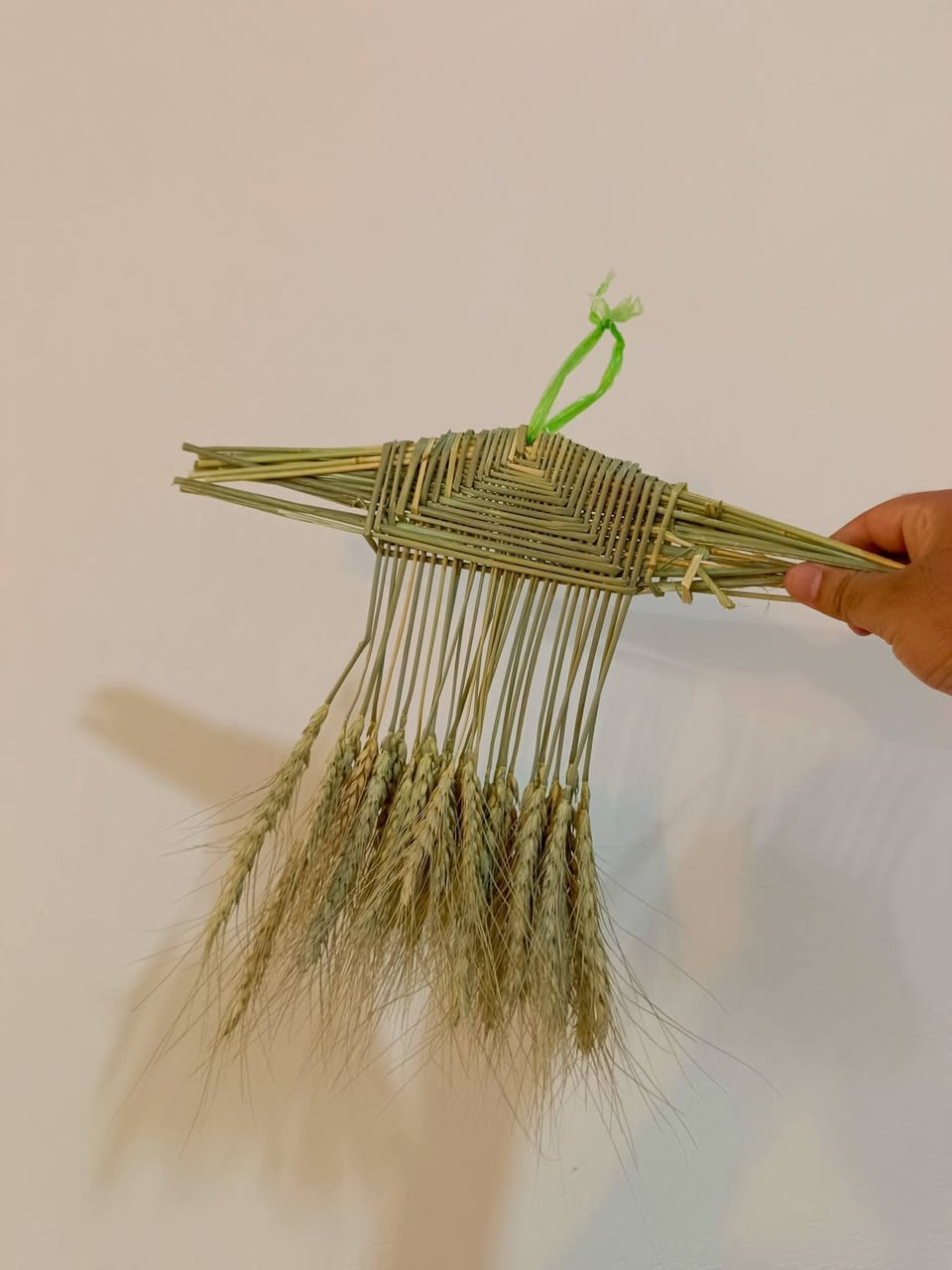 بس ابن الريف يعرف اساميهن اذا تعرف اساميهن اكتبهن بالتعليقات واذا ماتعرف صلّ على النبي صلى الله عليه وسلم
واذا حاب تشتري من ذني + متوفر اطباگه درجة اولى
​📥 للتفاصيل والطلب:
تواصلوا معنا عبر الواتساب أو الاتصال: 📞 ***********
📍 بعقوبة - متوفر خدمة توصيل لجميع المحافظات .
