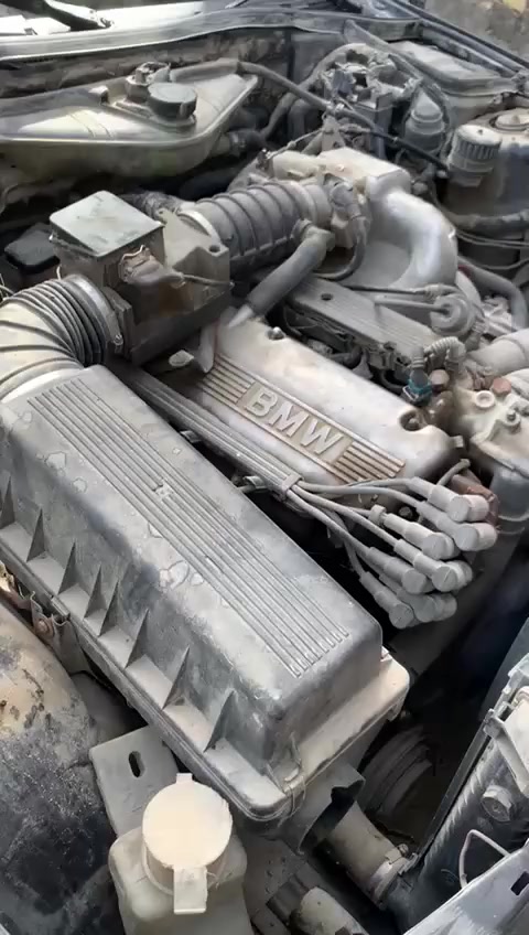 وينهم عشاق ال BMW
535للبيع موديل 89 مكينه مفتوح رقم أنبار سنويه نافذه 2023  عظمته حلوه كدام عينك اي خياس مابيه 

السعر  38ورقه وبيه مجال قليل جداً 

المكان بابل المحاويل

للاستفسار اكثر  خاص او الاتصال عل الرقم

‭0775 511 2538
