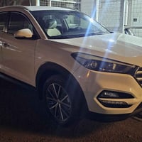 توسان • ٢٠١٧ • رقم اربيل