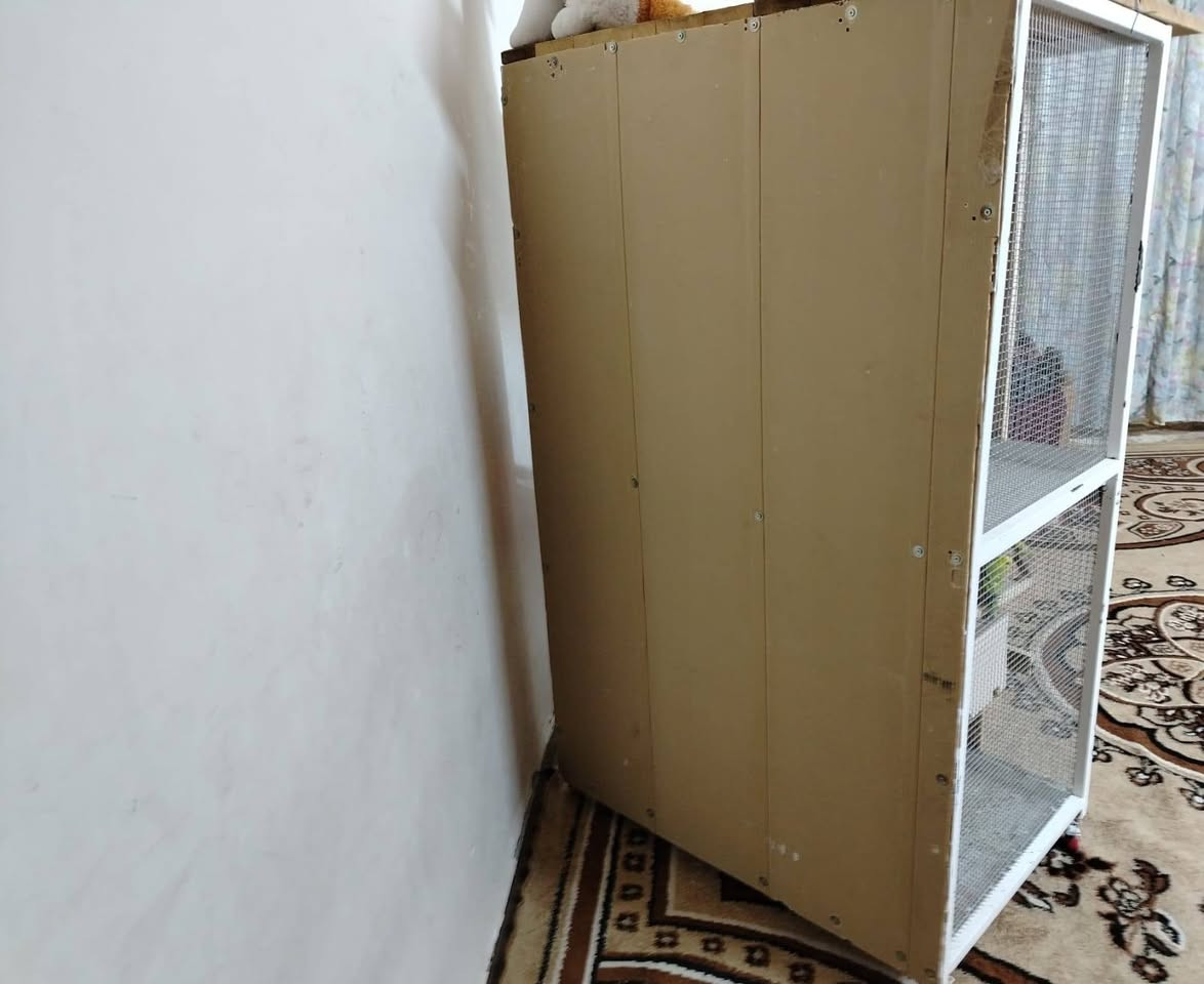 للبيع قفص
الارتفاع متر ونص وعرض متر ونسأل ٦٠ سنتيم السعر ١٦٠


**إذا كنت صاحب هذا الإعلان وتريد حذفه لأي سبب، رجاءا أرسل رسالة إلى الدعم الفني**