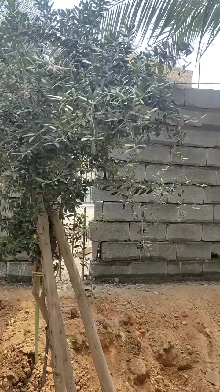 عمل بناء. ***********
