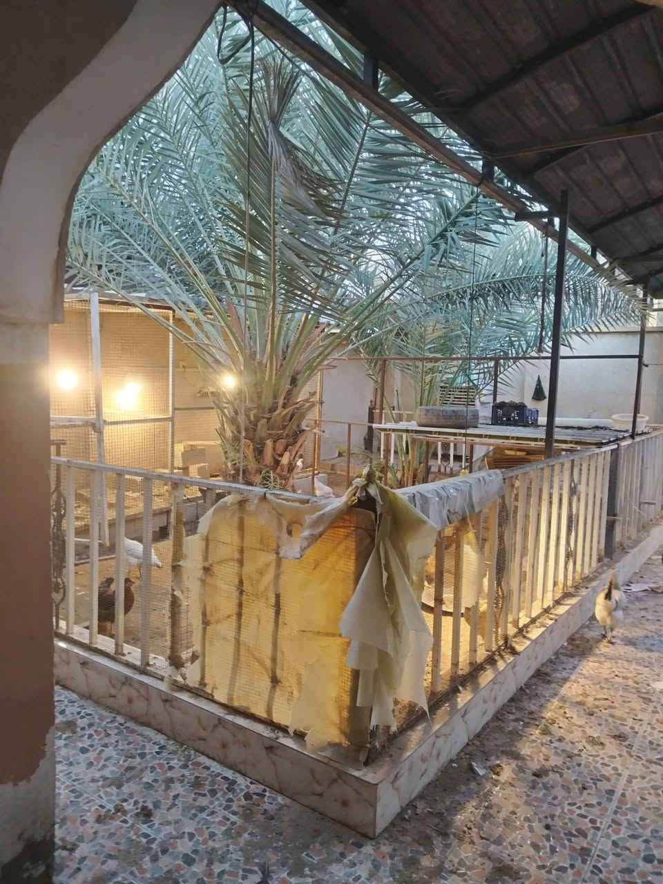 سلام عليكم 
يعلن مكتب عقارات الأصدقاء 
عن وجود بيت للبيع 
العنوان بصره ابو الخصيب حي العسكري 
جنس العقار طابو صرف عرصه 
مساحت البيت 200م
يحتوي البيت على كراج + حديقه + ديوانيه + مطبخ + صاله + 2 غرف نوم 
سعر البيت 110 مليون وبي مجال بصيط 
الاستفسار انتصل على الرقم 
(***********)
