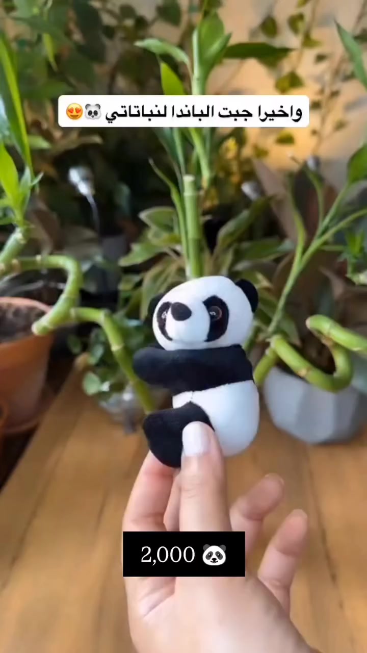 لكثرة الطلب رجعنا وفرنالكم الباندا 🐼 تعليقة زرع القطعه الفين دينار


**إذا كنت صاحب هذا الإعلان وتريد حذفه لأي سبب، رجاءا أرسل رسالة إلى الدعم الفني**