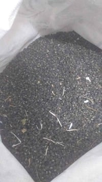 بذور باميه • متعهده • بابل قضاء القاسم