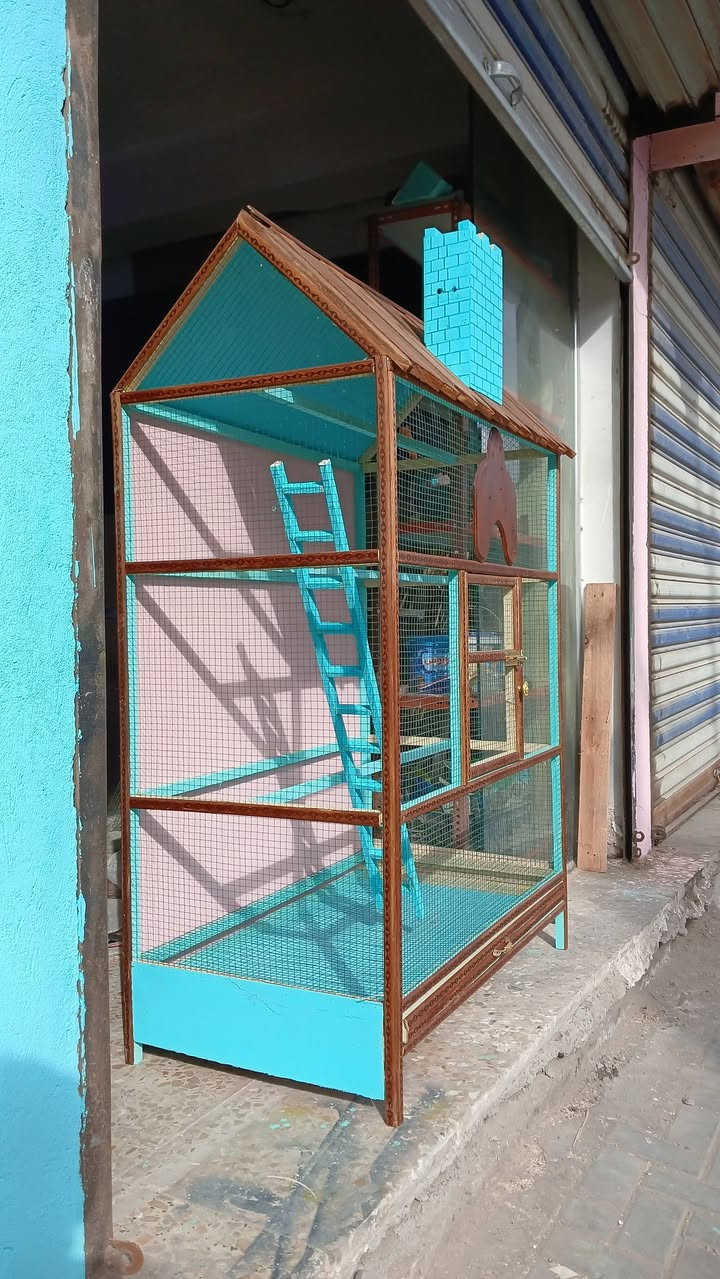 قفص متاح خشب صاج ثقيل
التفاصيل 
الارتفاع متر و60
 العرض متر و 5
النزال 60سنتيم
مجر تنضيف + مجر اكل 
درج العدد 1
المكان بغداد السفير العبيدي
#توصيل لايوجد 
السعر خاص

للاستفسار أكثر ***********
