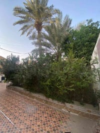 العروبة الثانية • ٣١٥م • مرمم