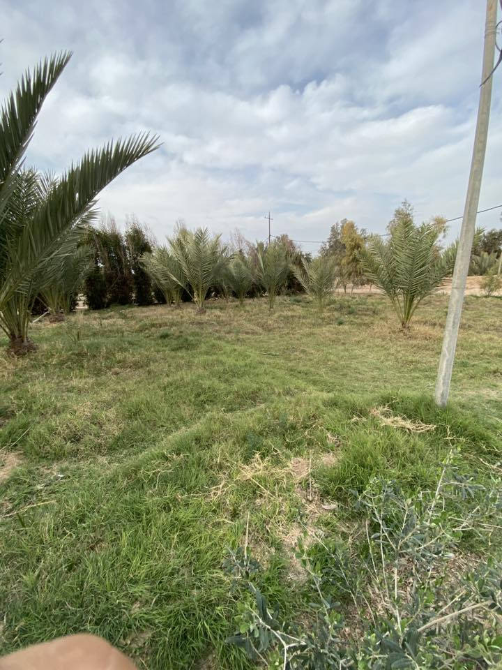 قطعة ارض للبيع المساحه دونم ونص على طريق كربلاء نجف تحتوي على اربع بيوت مرتبه وجاهزه وحديقه مساحتها نص دونم تحتوي على بئر ماء وأشجار مثمره تحتوي ايضاً على يبئر ماء من ضمن القطعه جاهزه من كافة النواحي للبيع للتفاصيل اكثر الاتصال على الرقم التالي ‭٠٧٨٧ ٠٨٨ ٤٥٤٥‬
