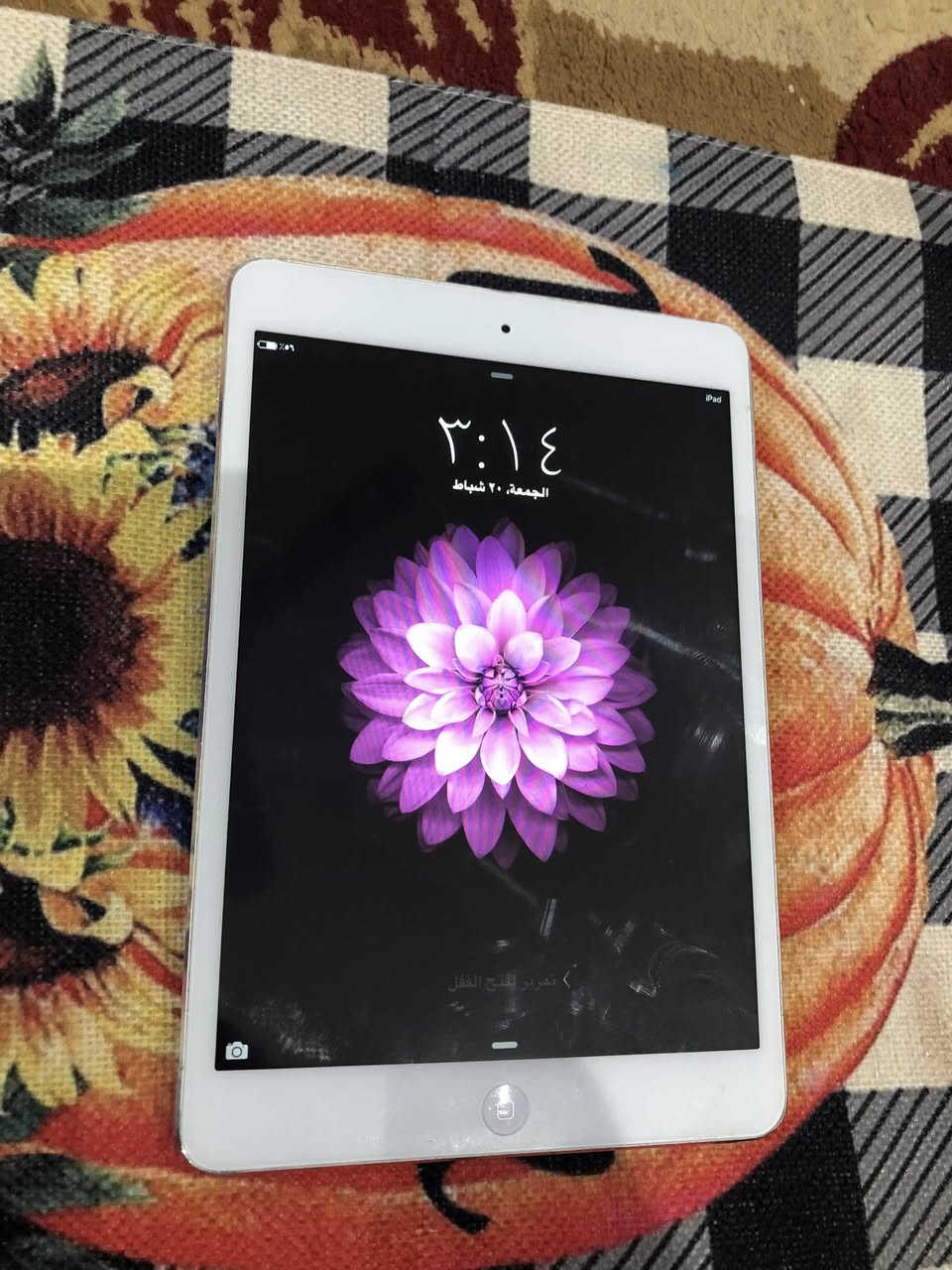 ايباد آبل مني اصلي ذاكرة ١٦ الجهاز مثالي جداً للقراءة، تصفح الإنترنت، أو لمشاهدة الفيديوهات للأطفال وبعض الألعاب الخفيفة. نظيف جدا
ب ٤٠ مع التوصيل


**إذا كنت صاحب هذا الإعلان وتريد حذفه لأي سبب، رجاءا أرسل رسالة إلى الدعم الفني**