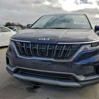 كرنفال • ٢٠٢٤ • ضرر خفيف