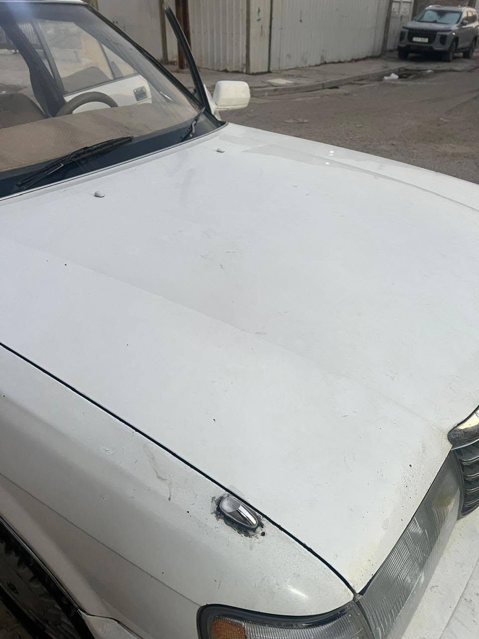 بسم  الله فره بدون صبغ للبيع الاتصال 
***********
