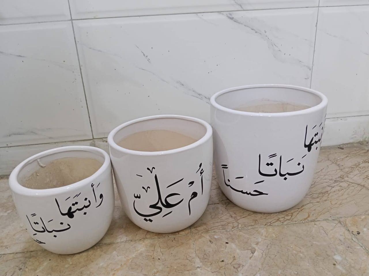 البيوت التي تسكنها النباتات تسكنها الطمأنينة 🕊️
أحيطوا أنفسكم بالجمال فالعين تعشق ما ينمو💚🍃
 #أزهار_ونباتات_مشتل_زهور_النرجس


**إذا كنت صاحب هذا الإعلان وتريد حذفه لأي سبب، رجاءا أرسل رسالة إلى الدعم الفني**