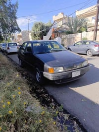 باسات • ١٩٩١ • بدون صبغ