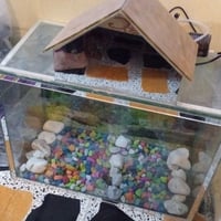 حوض اسماك • للبيع • قابل تفاوض