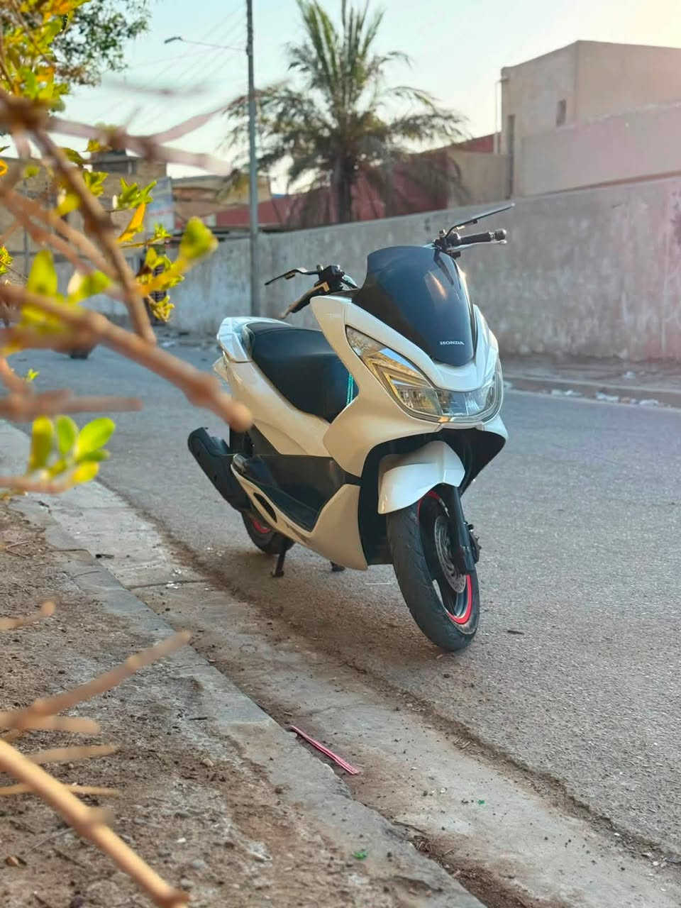 السلام عليكم دراجه {pcx} الجيل لثاني ياباني
مكينه {150} سيسي لمتد حساس كهربائي 

الدراجه ابلاديه نظيفه احله من الصور

‬ ملاحظه: { فقط الكفرات امبدله تجاريه } 

الموقع : {الشعب/شارع عدن/خلف ثانويه الاصمعي}

السعر: ب مليون 750 وبيهه  مجال بسيط 

رقم الهاتف : ‭***********‬
