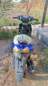 المدائن • مكينه جديده • بدون أوراق