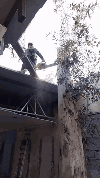 *********** @***********كادرمتخصص لقطع الأشجار قطع كروب قطع الأشجار والنخيل *********** ***********
