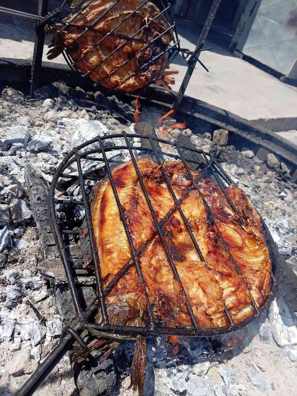 🐟🔥 أسماك أهلنا 🔥🐟
ألذ سمك طازج... والطعم يحچي عن نفسه!

✅ شوي على حطب الحمضيات✅ شوي بغدادي أو بالتنور✅ سمك أقفاص درجة أولى✅ مع التتبيلة الخاصة✅ يُقدَّم مع الطماطم، البصل، العنبة، والليمون

🚚 توصيل داخل الغزالية

📞 الهاتف: ***********

📍 العنوان: الغزالية – شارع مدير الأمن

أسماك أهلنا... نكهة عراقية أصيلة وجودة تستحق التجربة

