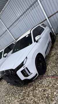 بليسايد كلكرافي • ٢٠٢٤ • ٧ راكب